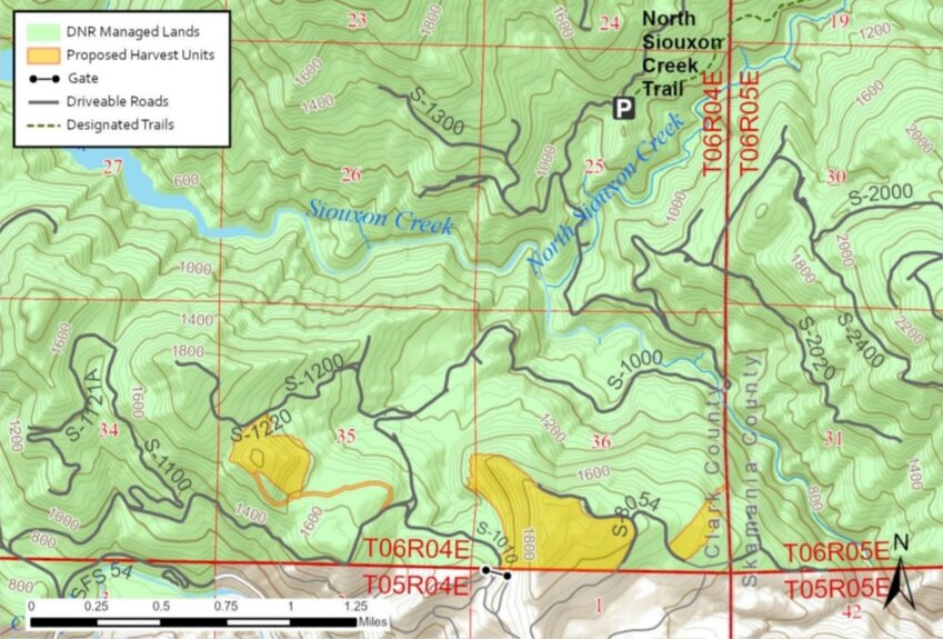 The proposed harvest units of the Dabbler timber sale are highlighted in yellow. The timber sale is located in the area south of Siouxon Creek but away from trails.