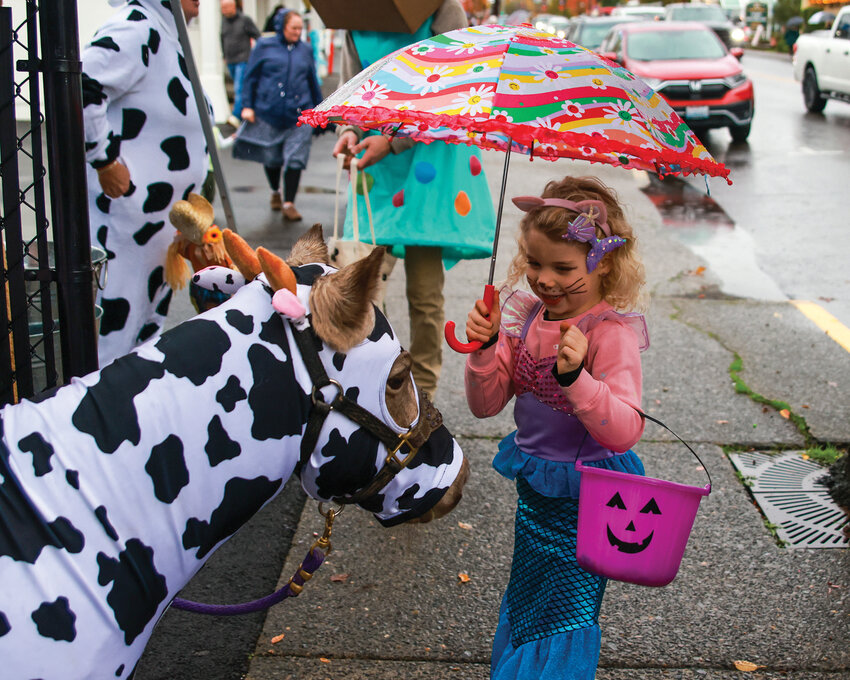A trick-or-treater is excited to meet Macy, a horse dressed as a cow along the Trick or Treat Trail on Main Street in Battle Ground during a rainy Halloween evening.