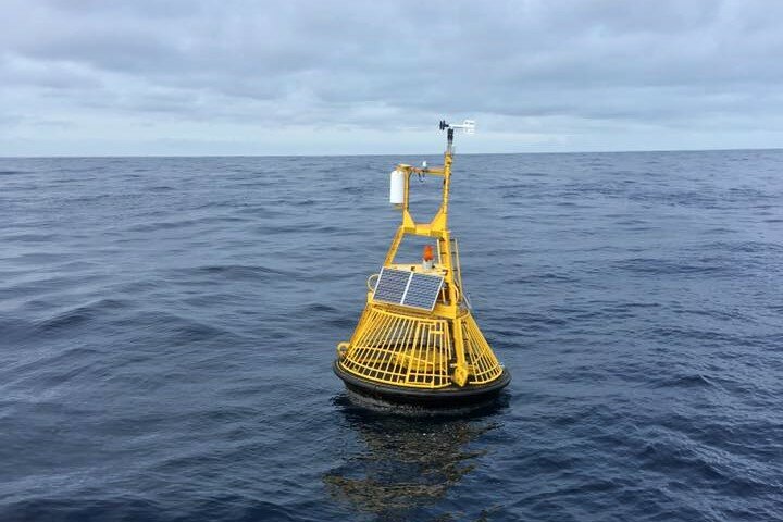 NOAA weather buoy 46029 is pictured in this photo provided by the office of U.S. Rep. Marie Gluesenkamp Perez.