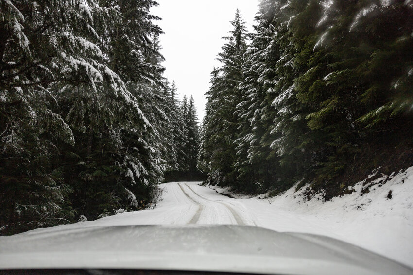 A forest service road covered in snow is pictured in the Gifford Pinchot National Forest on Sunday, Nov. 24.