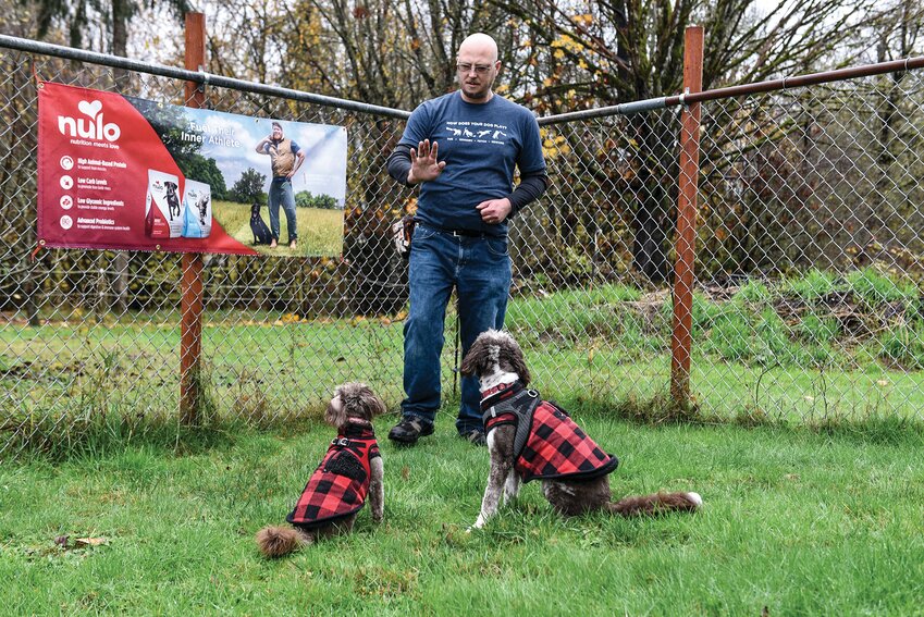 Certified dog trainer Stephen Foster works with two dogs, teaching them patience through positive reinforcement. Foster earned a dog training certification in 2021 following three years of required training. Last summer, he earned an advanced certification.