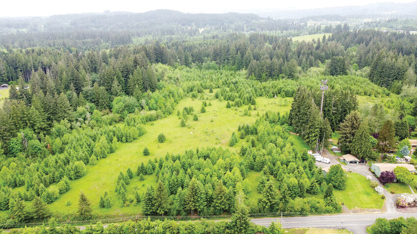 Development of the Durkee property as a trail park faces significant challenges. Battle Ground Mayor Troy McCoy noted the project at the 35-acre site near Battle Ground is a lower priority for the city as planners focus on park lands within city limits.