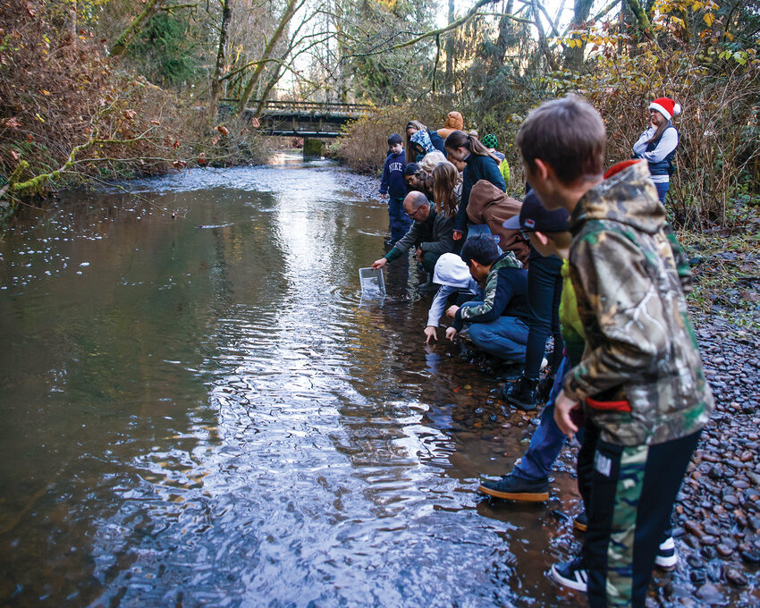 Union Ridge fourth grade students in Rockwell Fransen&rsquo;s class line up along Gee Creek in Ridgefield&rsquo;s Abrams Park to release Coho salmon on Wednesday, Dec. 11, in an effort to bolster the species&rsquo; population in the creek.