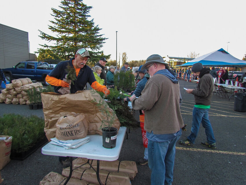 The popular tree seedling sale will take place again this year on Saturday, March 15, beginning at 8 a.m., at the parking lot of Albertson&rsquo;s in Battle Ground. Some 30 members of the Clark County Farm Forestry Association will be on hand to conduct the sale which benefits forestry projects and scholarships.