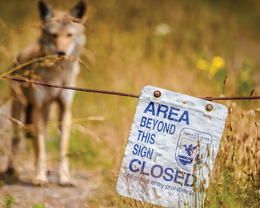 The U.S. Fish and Wildlife Service experienced a mass firing earlier this month as part of the Trump administration&rsquo;s government reform efforts. The national refuge system covers 95 million land acres and 750 million marine acres while operating with fewer than 2,500 employees.