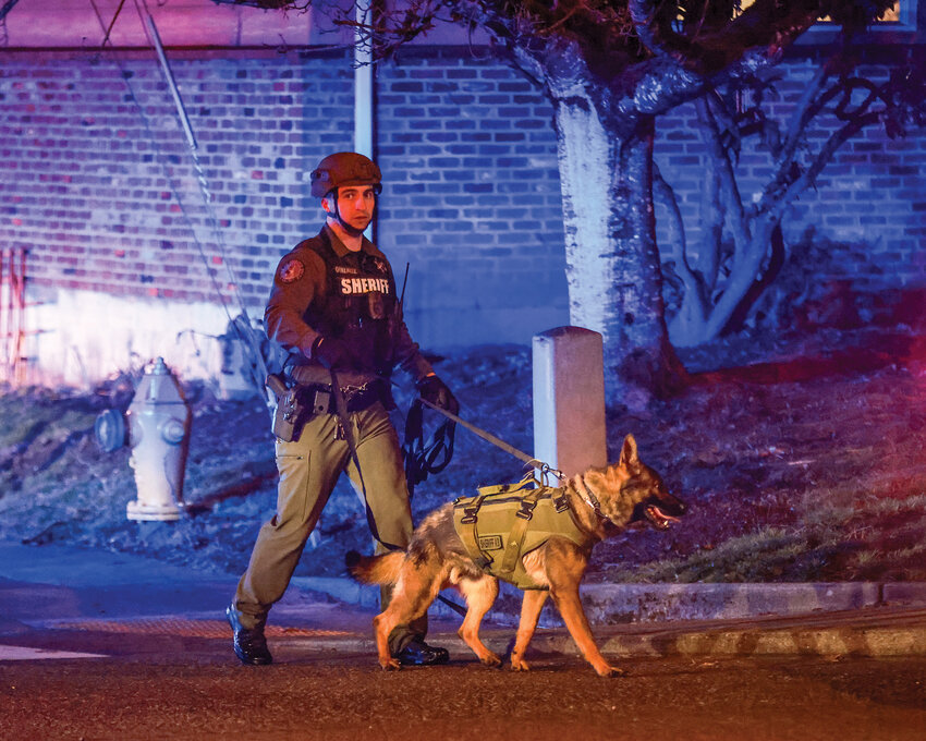 A Clark County Sheriff&rsquo;s Office K9 handler and dog walk back to their vehicle after a wanted individual was apprehended on Wednesday, Feb. 26, in Battle Ground. Law enforcement officials have released few details about the arrest.