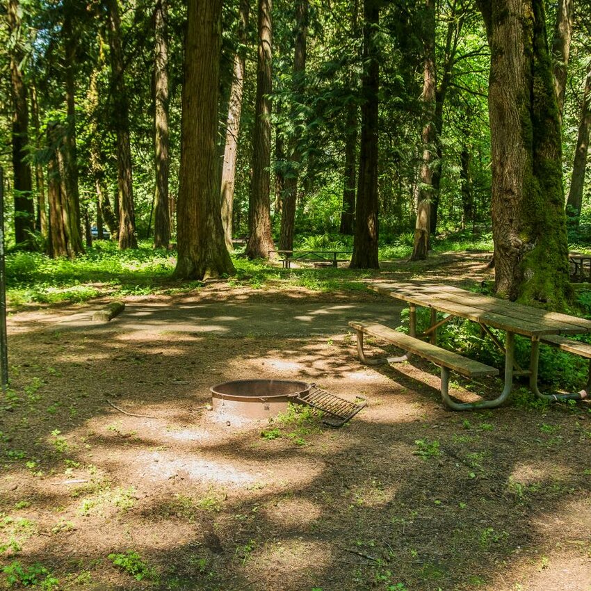 A campground at Paradise Point State Park. (Washington State Parks)