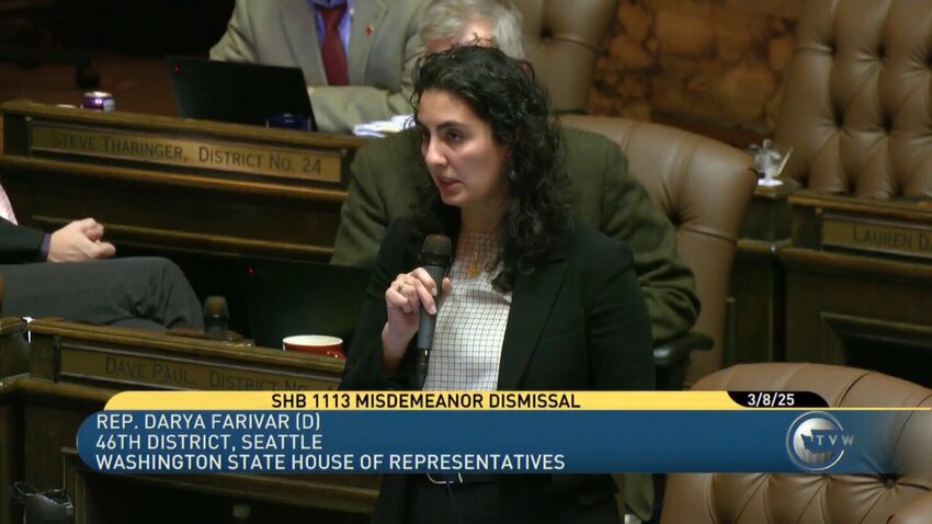 Rep. Darya Farivar, D-Seattle, proposed House Bill 1113 to expand the availability of diversion opportunities for low-level offenders as the state grapples with a public defender shortage.