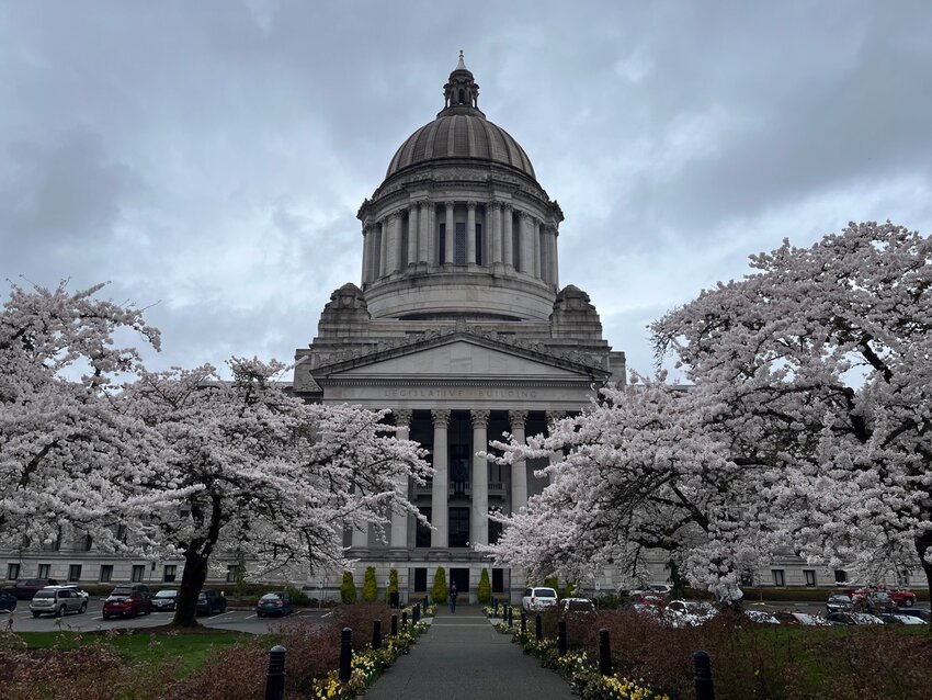 Washington State Capitol (Laurel Demkovich/Washington State Standard)