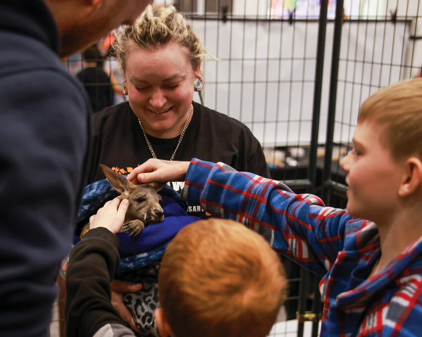 Visitors to the Vancouver Cascadia Reptile Expo pet a baby kangaroo at the RV Inn Style Resorts Convention Center on Sunday, March 16.