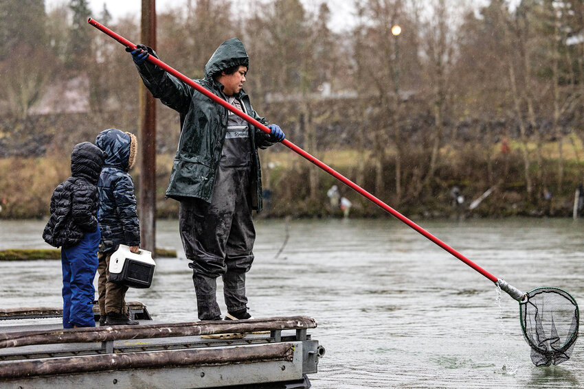 A smelt dipper lifts an empty net on a designated smelt dipping day from the Al Helenberg Memorial Boat Ramp on the Cowlitz River on Wednesday, March 12.