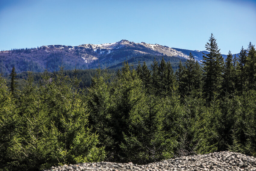 Silverstar Mountain in the Gifford Pinchot National Forest area is pictured at the end of February with minimal snow totals.