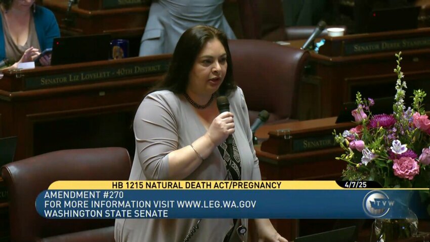 Sen. Manka Dhingra, D-Redmond, said House Bill 1215 intends "to frankly remove the historically patriarchal clauses in our statute."