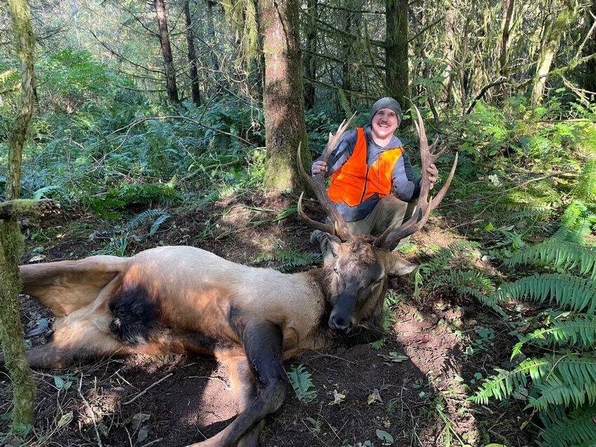 James Bronco Hiatt harvested this bull locally in the Ryderwood Unit 530 in 2022.