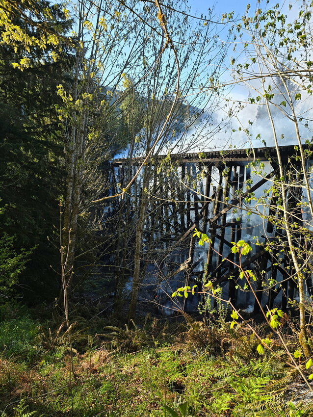 Fire continues to burn Mt. Rainier Scenic Railroad's 28-span railroad trestle bridge between Mineral and Morton on Thursday, May 1.