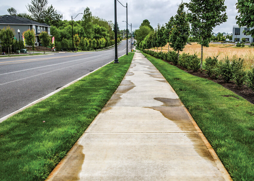 The grass around the sidewalk of the south side of South Fifth Street appeared to be watered by a sprinkler system during the morning of Friday, June 27, while the north side of the street showed no signs of watering during the same time.