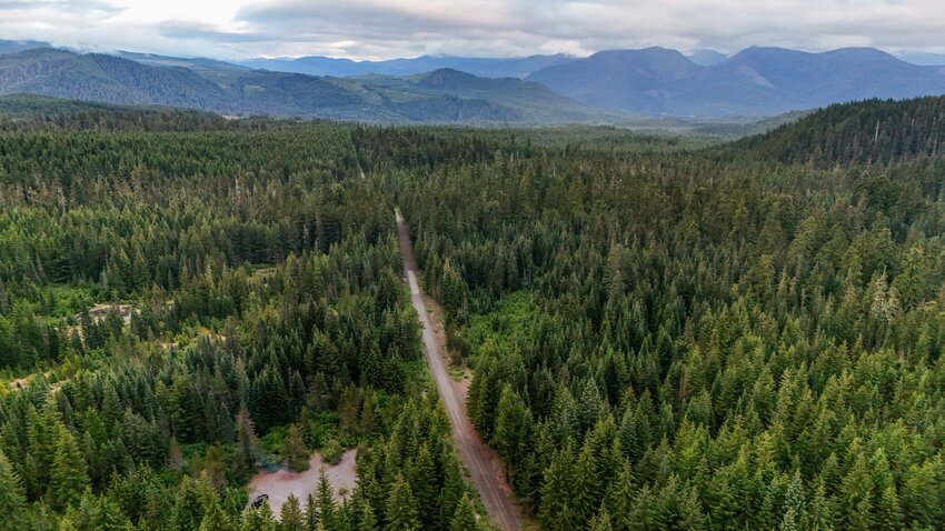 Gifford Pinchot National Forest