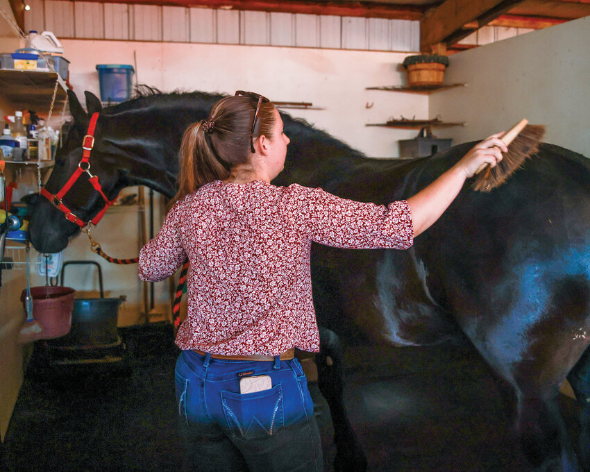 Associate Veterinarian Dr. Melanie Moore brushes Jelke, a large Friesian horse who boasts a great personality, at the Ridgefield Equine Clinic on Wednesday, July 16.