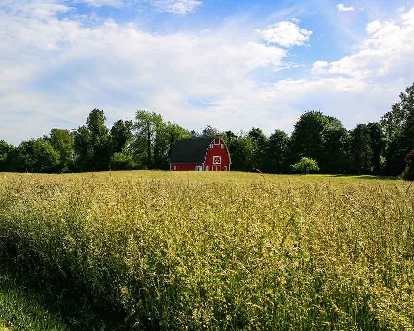 A red barn sits in a farmland in the Whipple Creek area south of Ridgefield. Ridgefield and La Center have pushed for an agricultural lands study to be approved in Clark County's comprehensive plan, which was unanimously approved Tuesday, July 15.