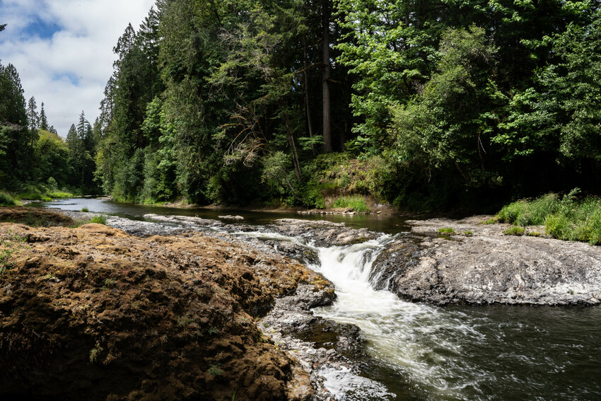 The Chehalis River flows through Rainbow Falls at Rainbow Falls State Park on Wednesday, July 2.