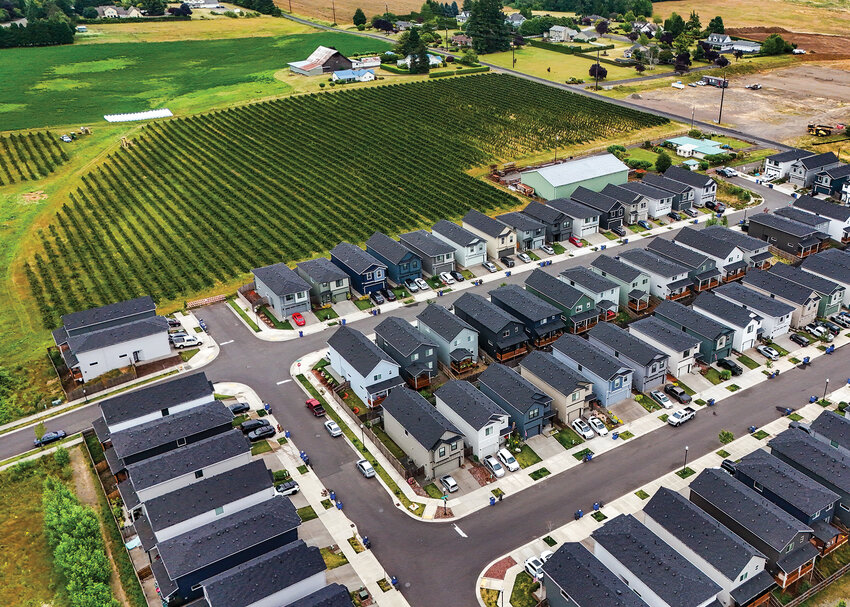 Land used for farming grapes is seen adjacent to a newer residential development in Ridgefield off of North 10th Street.