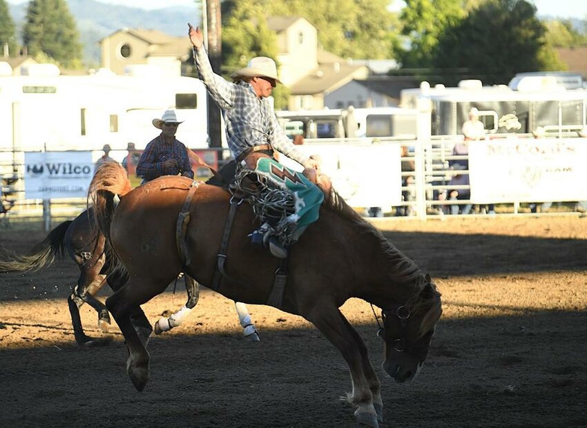A rodeo participant attempts to stay on a bucking horse during the Thunder Mountain Pro Rodeo on Thursday, July 24 at the Cowlitz County Events Center. Rodeo supporters say bucking is natural, while animal activists disagree.