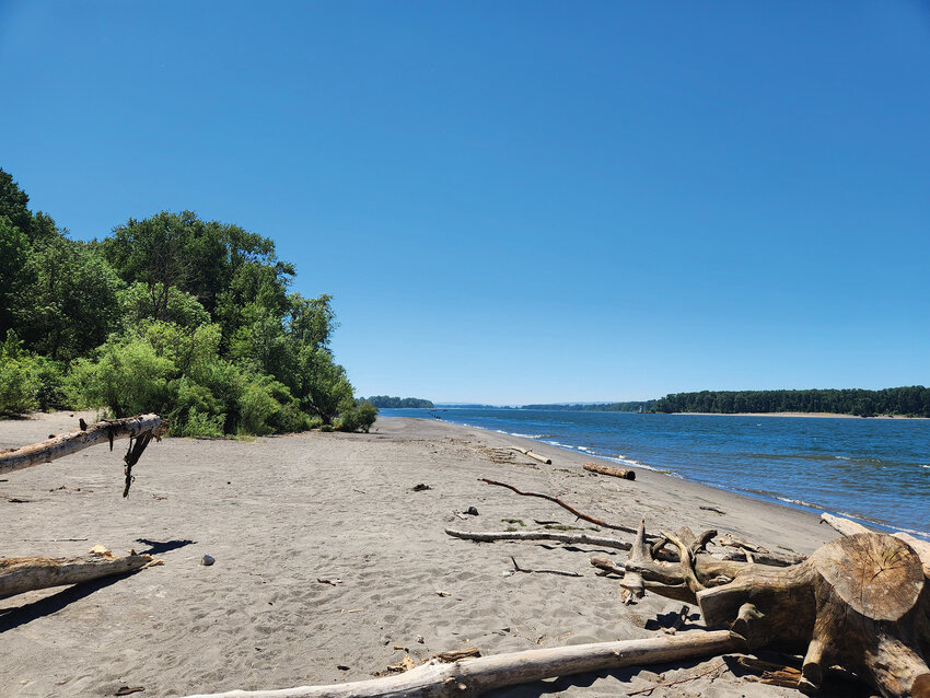 A beach on the Columbia River at Austin Point will receive more visitors in the coming years. The Port of Woodland plans to develop this shoreline area with trails, restrooms and a primitive boat launch after securing $1.8 million in state funding.