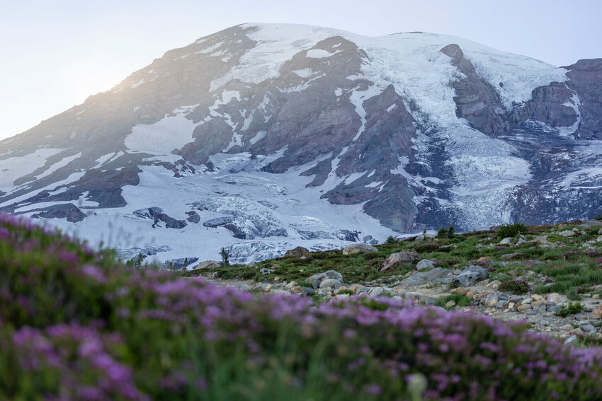 The sun sets on Mount Rainier from the Skyline Trail at Mount Rainier National Park on Thursday, July 24.