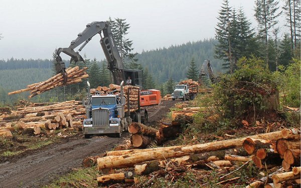 Logging operations on public land in Washington state.