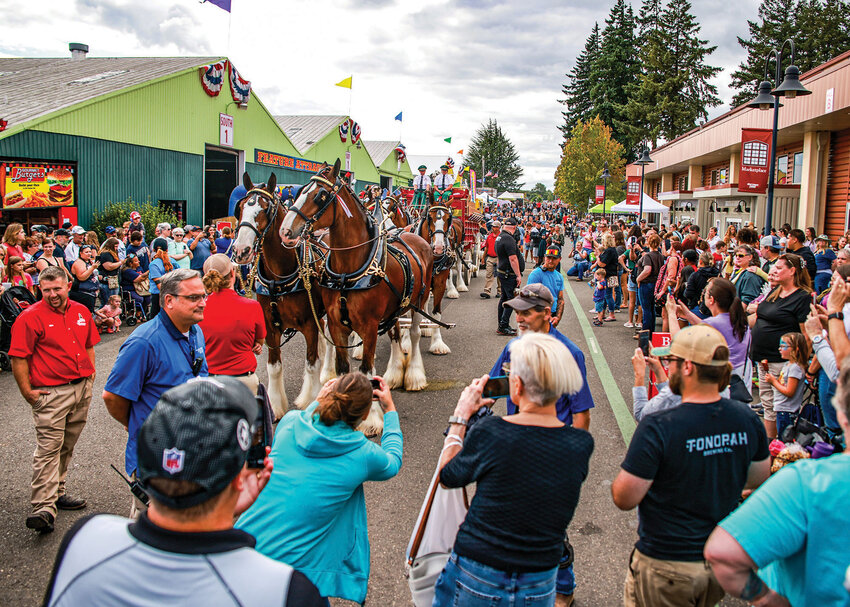 The Budweiser Clydesdales brought a unique experience to the Clark County Fair this year.
