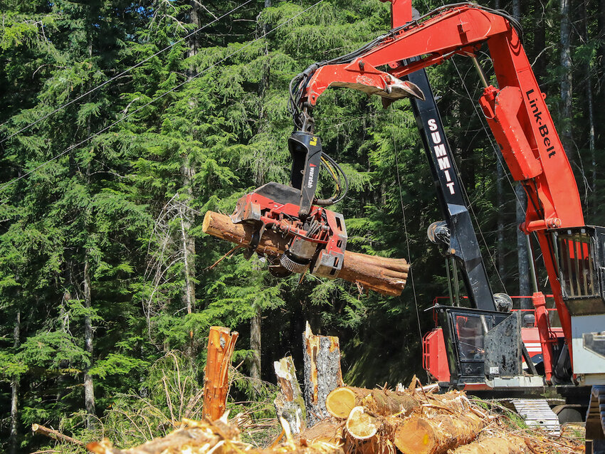 A harvester crane processes a log on a thinning project in the Mount Baker-Snoqualmie National Forest. The project was led by the Washington State Department of Natural Resources, the result of growing efforts by state agencies to conduct work on federal land. President Donald Trump&rsquo;s plans to increase logging on federal lands will depend heavily on states&rsquo; cooperation, experts say. (Courtesy of Washington State Department of Natural Resources)