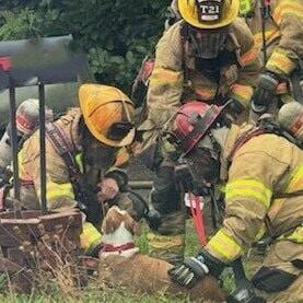 Crews pet a dog after the Wednesday, Oct. 1, fire in Woodland.