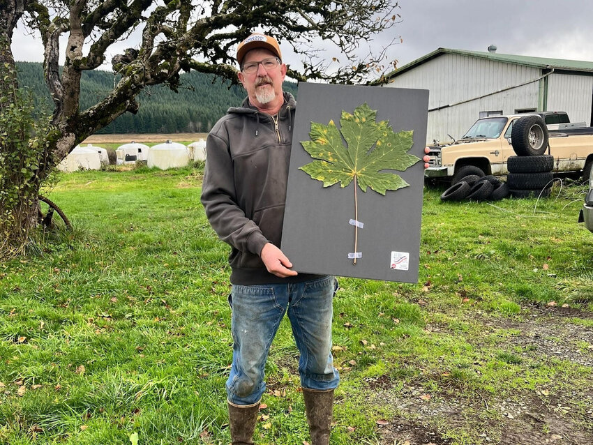 Maynard Mallonee poses for a photo with last year&rsquo;s winning Bigleaf Maple leaf.