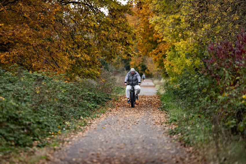 A person bikes on the Willapa Hills Trail in Adna on Thursday, Oct. 23.