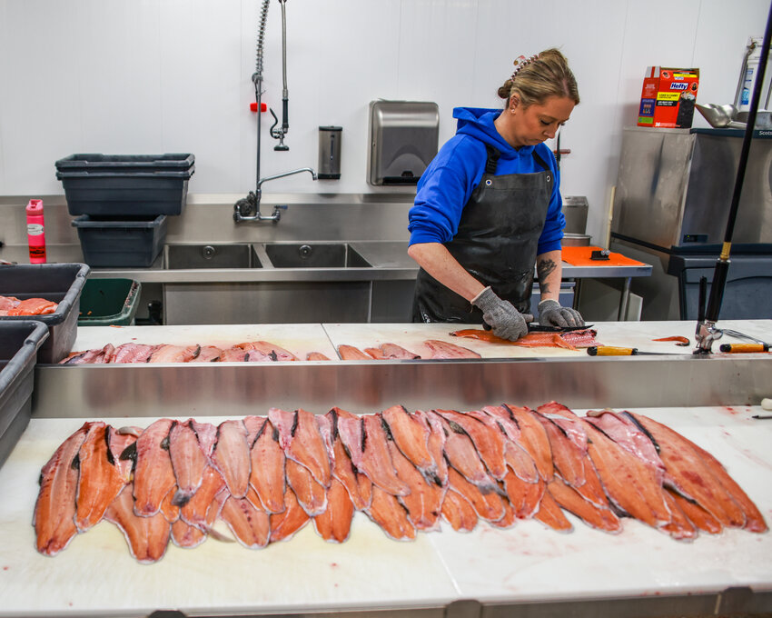 Cowlitz Indian Tribe member Ashley Studer fillets fish from local rivers for the Fish Distribution Program on Wednesday, Nov. 19. The program sends boxes of fillets to tribal members around the nation each month.