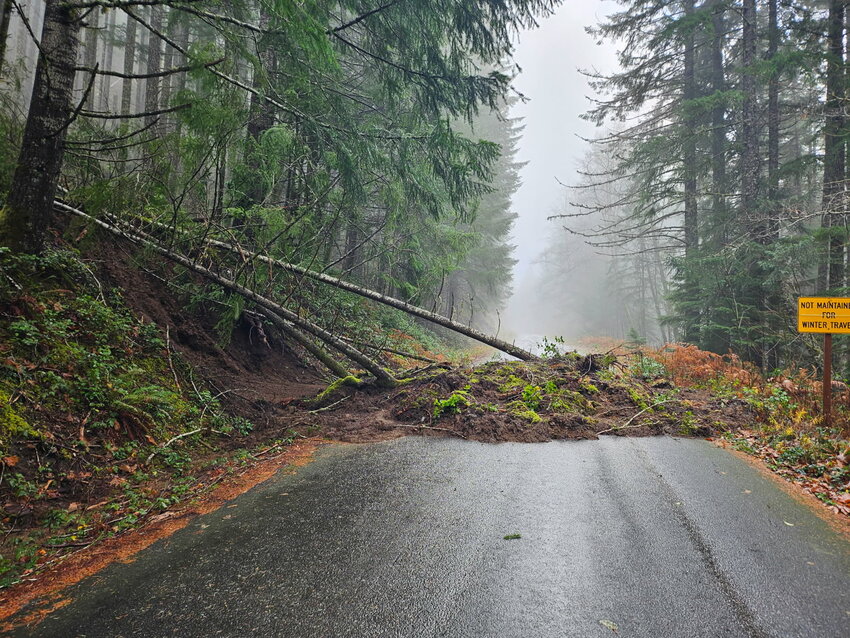 Mudslide on Forest Road 21.