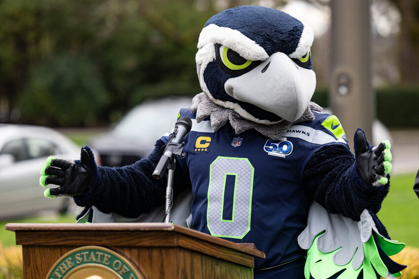 Blitz, the Seahawks mascot, takes to the podium during a &ldquo;12&rdquo; flag raising ceremony at the state Capitol in Olympia on Wednesday, Jan. 14.