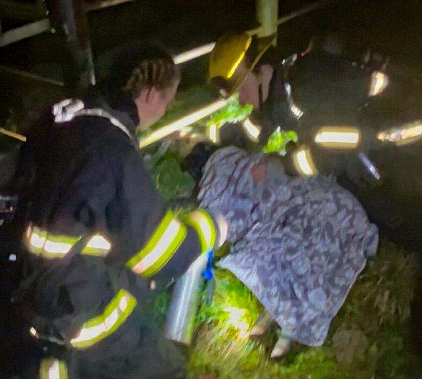 Fire crews tend to a calf found in a burning barn on Wednesday, Jan. 14 in rural Kelso.