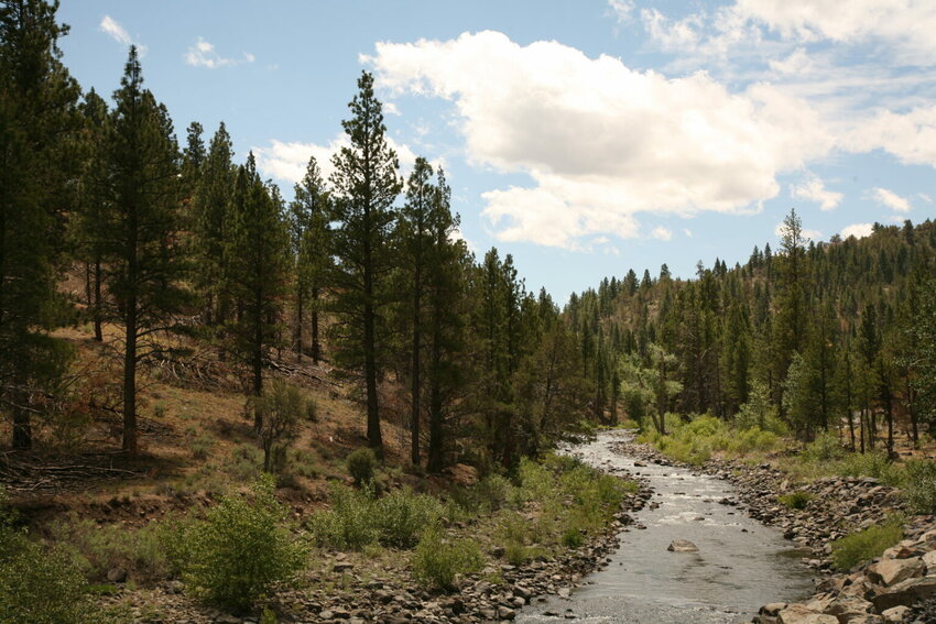 The Chewaucan River Flowing through the Fremont Winema National Forest in Southern Oregon. A judge recently reversed approvals for three commercial logging projects in the forest because they relied on an exemption to environmental review that has been found unlawful. (Photo courtesy of the U.S. Forest Service/Flickr)