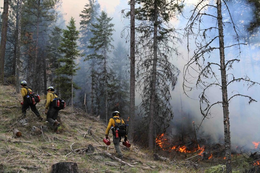 The Washington Department of Natural Resources and the USDA Forest Service conduct a cross-boundary prescribed fire in the Aeneas Valley in 2023. (Photo courtesy of USDA Forest Service)