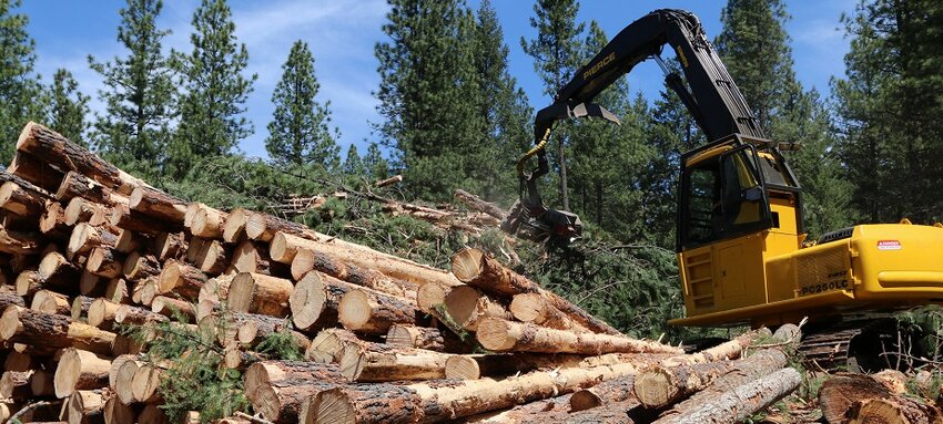 About three-quarters of federal O&amp;C forests in western Oregon are protected from regular logging. But Bureau of Land Management indicated it could return those acres to 1960s harvest levels, more than 10 times current harvest levels. (Photo courtesy of the Bureau of Land Management)