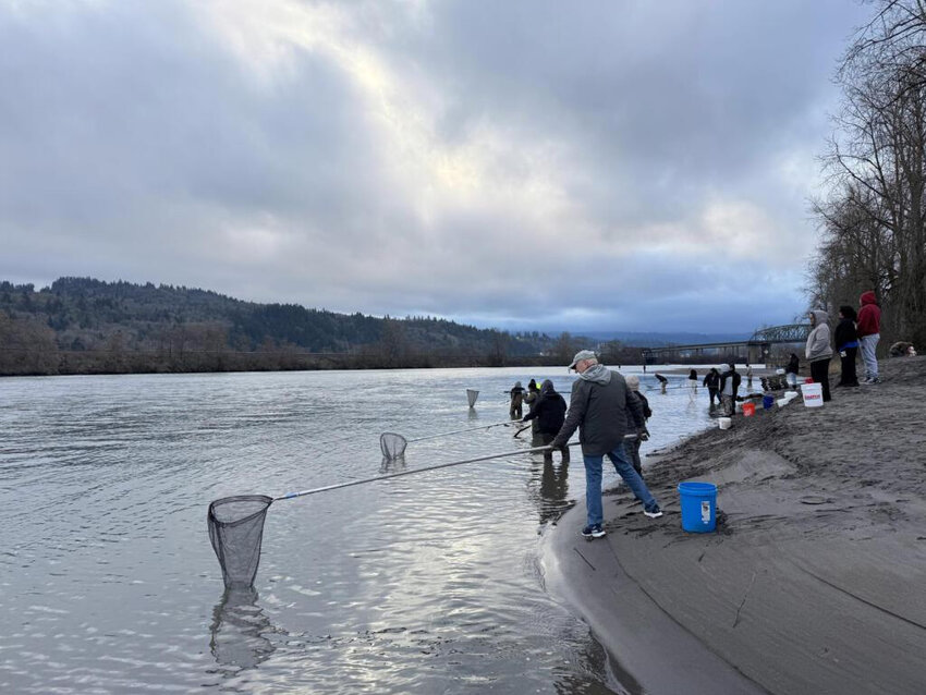 A line of dipnetters search for smelt at Gerhart Gardens Park on Feb. 18 in Longview. (Photo by Henry Brannan/The Columbian)