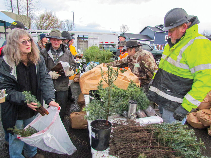 The popular tree seedling sale will take place again this year on Sat., March 21, beginning at 8 a.m., at the parking lot of Albertson&rsquo;s in Battle Ground. Some 30 members of the Clark County Farm Forestry Association will be on hand to conduct the sale which benefits forestry projects and scholarships.