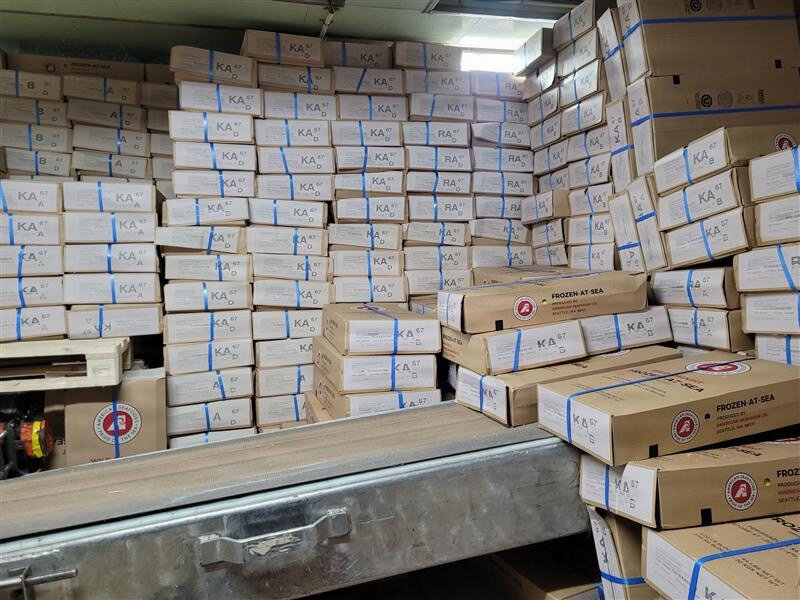 Boxes of allegedly unreported pollock roe harvested by the catcher-processor vessel Northern Edge are stacked together. The crew of the U.S. Coast Guard Cutter Waesche seized approximately 5.4 metric tons of allegedly unreported pollock roe from the catcher-processor vessel. The Coast Guard crew boarded the Northern Eagle on March 26, 2026, about 17 miles north of Dutch Harbor and stayed with vessel as it sailed to that Aleutian Island port. In all, 11,524 boxes of pollock roe were offloaded, which was 241 boxes more than what had been declared in the vessel&rsquo;s production report, according to the Coast Guard. (Photo provided by the U.S. Coast Guard)