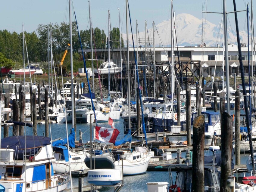 The marina in Point Roberts.
