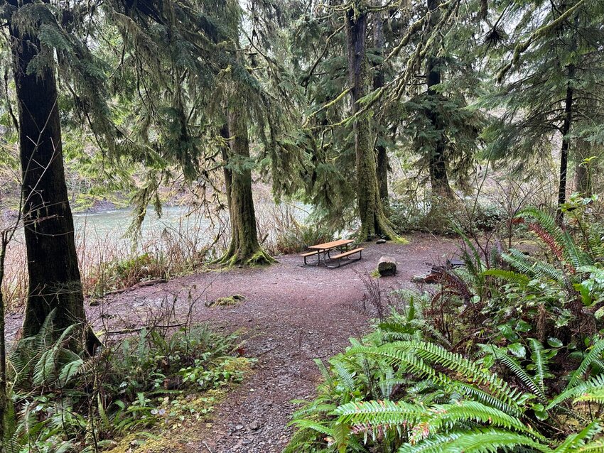 The Lyre River Campground in Port Angeles will close from September until April next year. It&rsquo;s one of 11 campgrounds affected by state funding cuts to the Department of Natural Resources. (Photo courtesy of Washington State Department of Natural Resources)