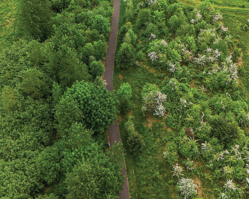 A paved walking trail is seen in Remy Park in Battle Ground. The city plans to develop a community park, mostly south of the trail, with playgrounds, sports courts, and picnic areas. The first of four planned phases is expected to begin in early 2027
