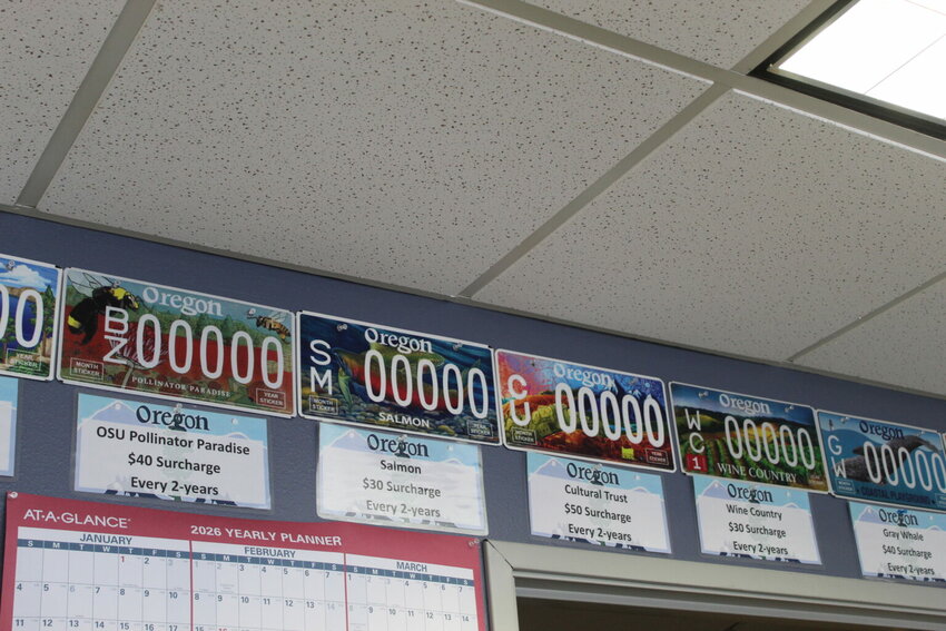 Oregon license plate options are pictured. (Photo by Mia Maldonado/Oregon Capital Chronicle)