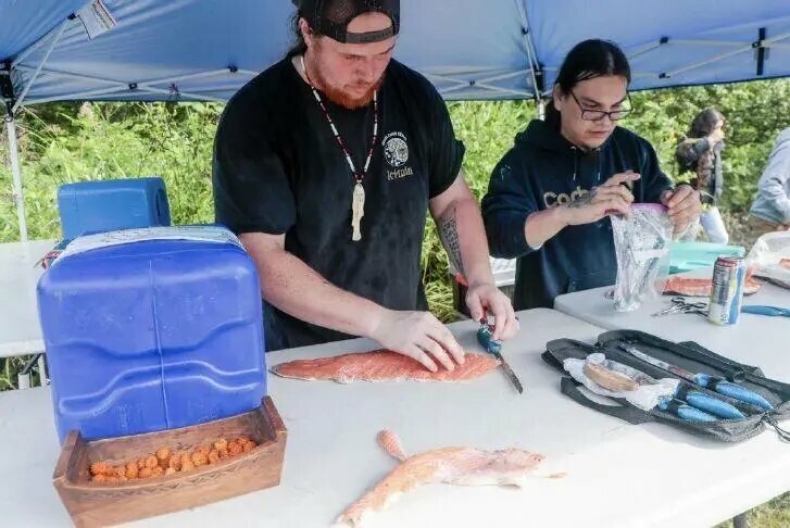 Salmon and crab are near the center of Quinault Indian Nation efforts to take fishing rights in Willapa Bay and the Columbia River. In 2025, Chinook tribal members Wyatt Davis, 20, of South Bend, and Tahoma Johnson, 25, of Bay Center, helped prepare salmon using traditional methods before the fish was roasted over an alder fire and served to the tribe.