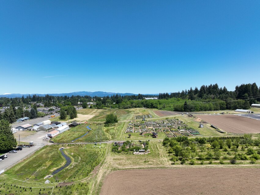 The 78th Street Heritage Farm wetlands are pictured from above.